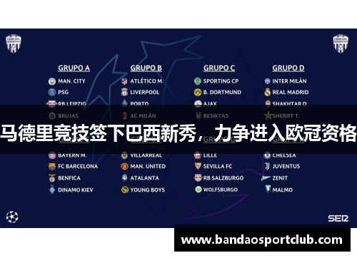 马德里竞技签下巴西新秀，力争进入欧冠资格